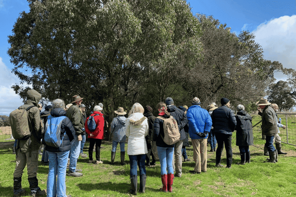 Murrumbateman Landcare Group